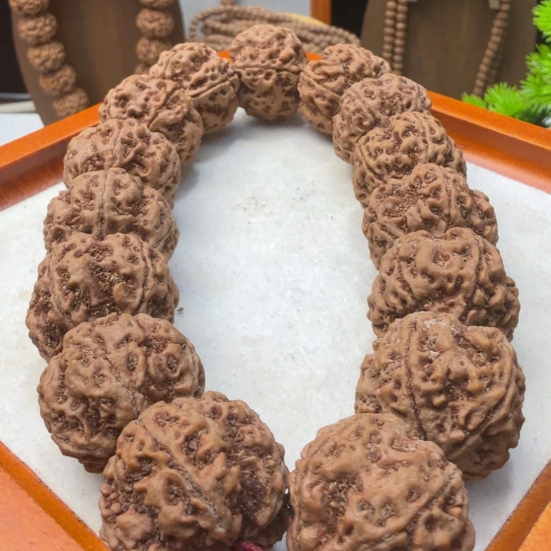 金刚菩提吊坠雪山铁籽粗筋梅花双龙超头