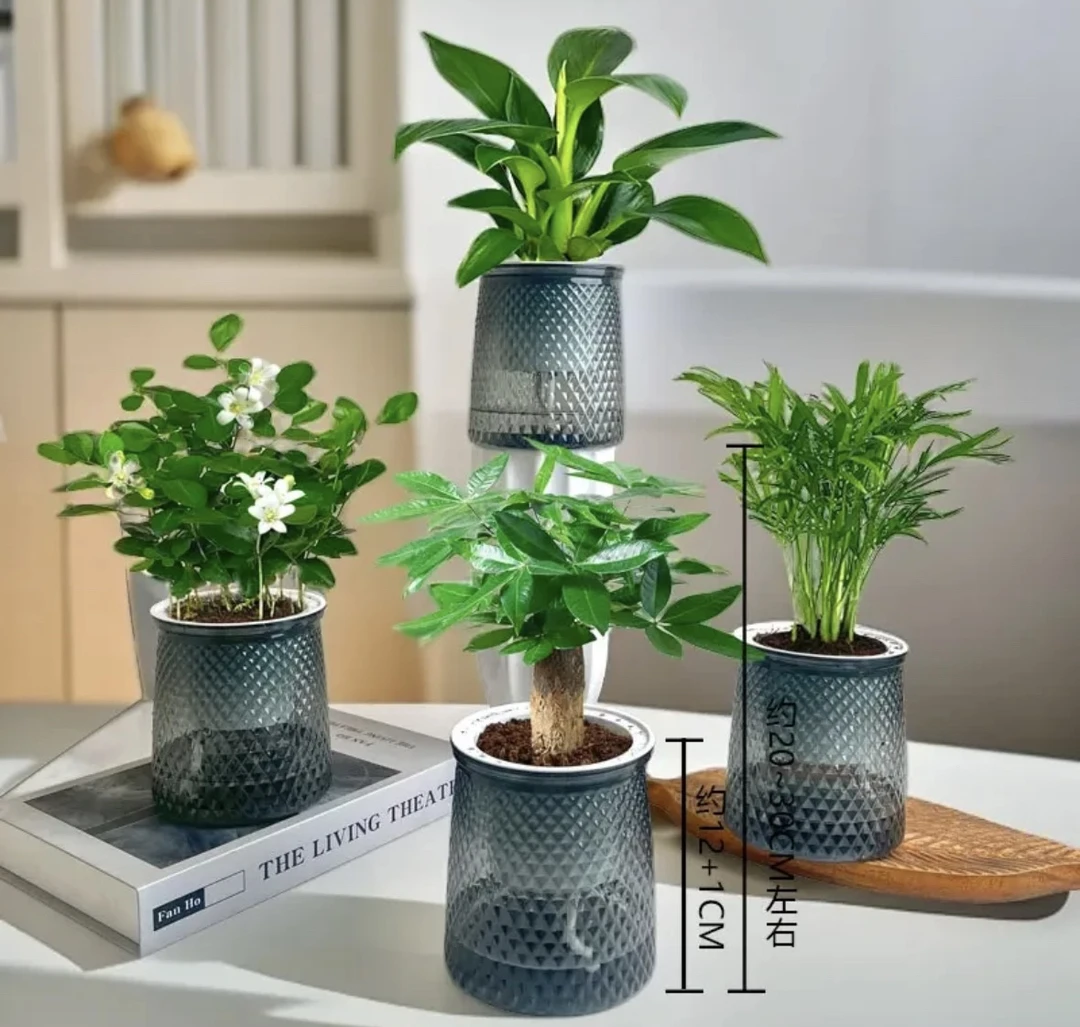 「买三送一」金钻发财树九里香花卉绿植绿植室内办公室空气净化