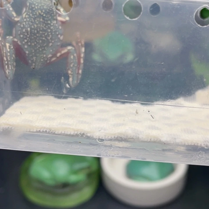 。***鹿老爷树蛙4号加热包