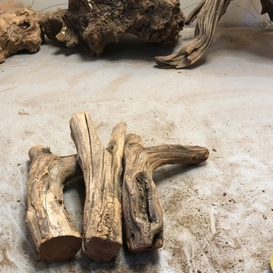 大果紫檀（缅甸花梨）傻*