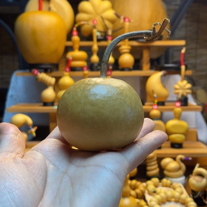 飘***i天然葫芦自然生长