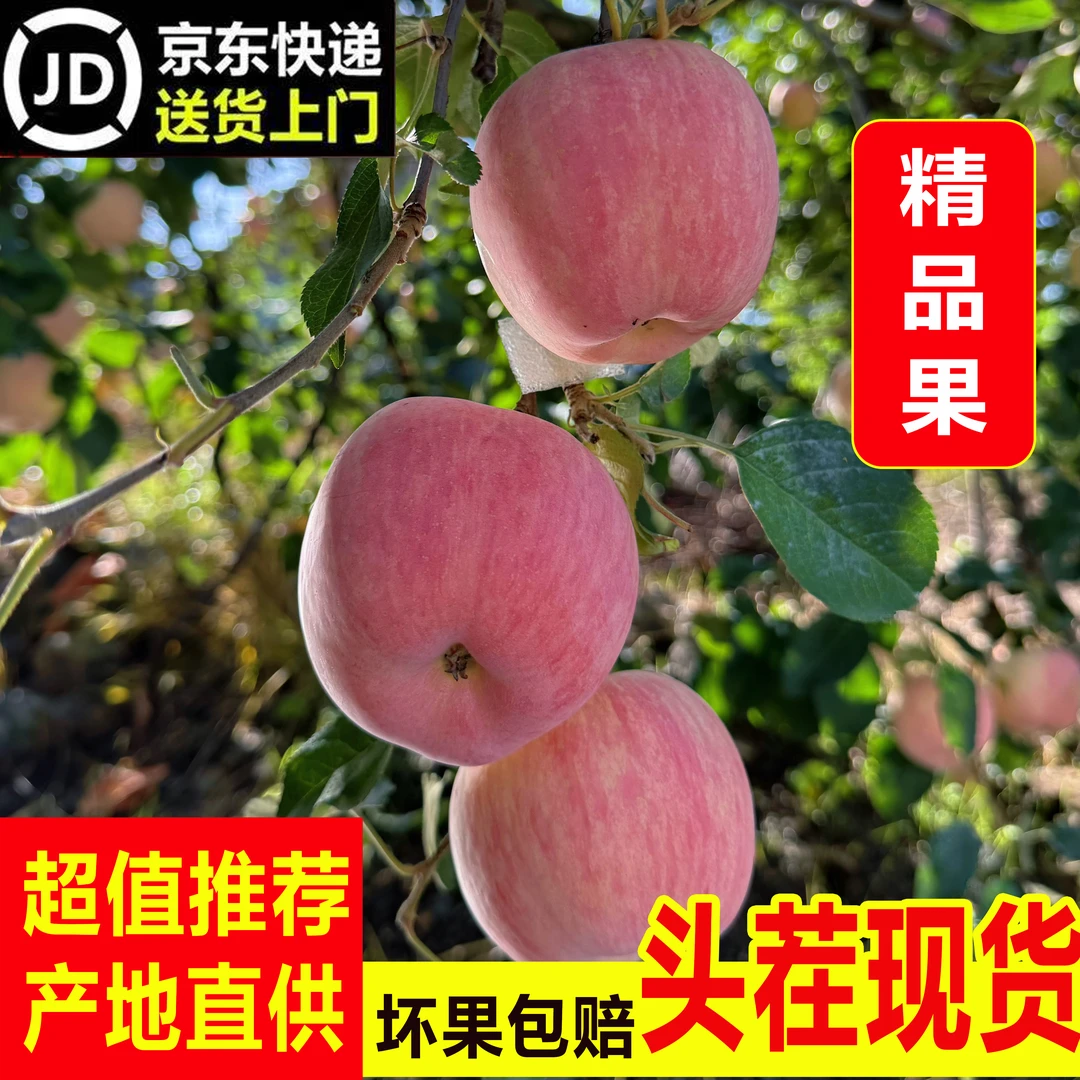 【京东包邮送货上门】2025头茬早熟富士红将军苹果脆甜多汁产地直发