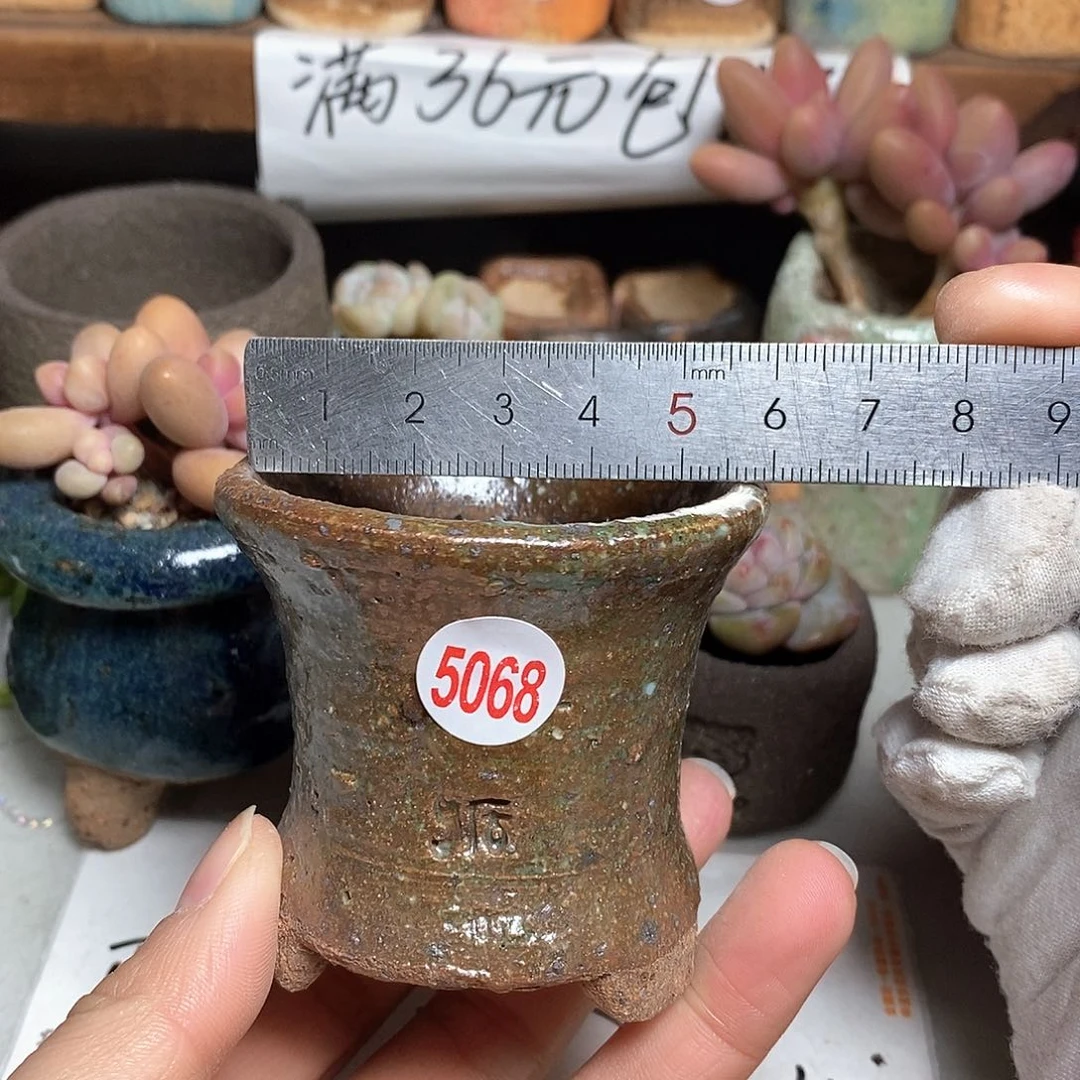 红陶拍5送一个小