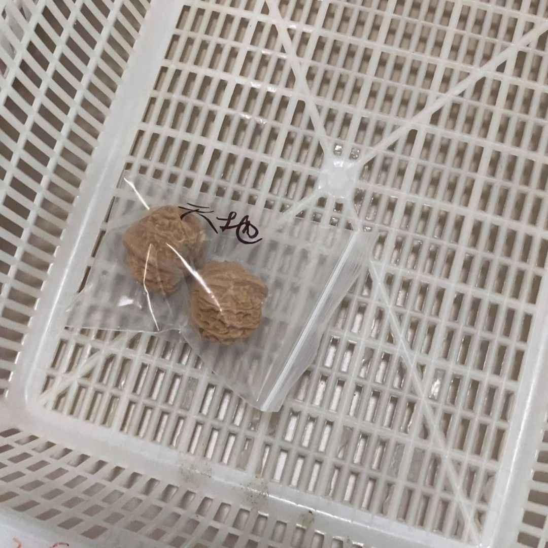 文玩核桃吊坠天地福利