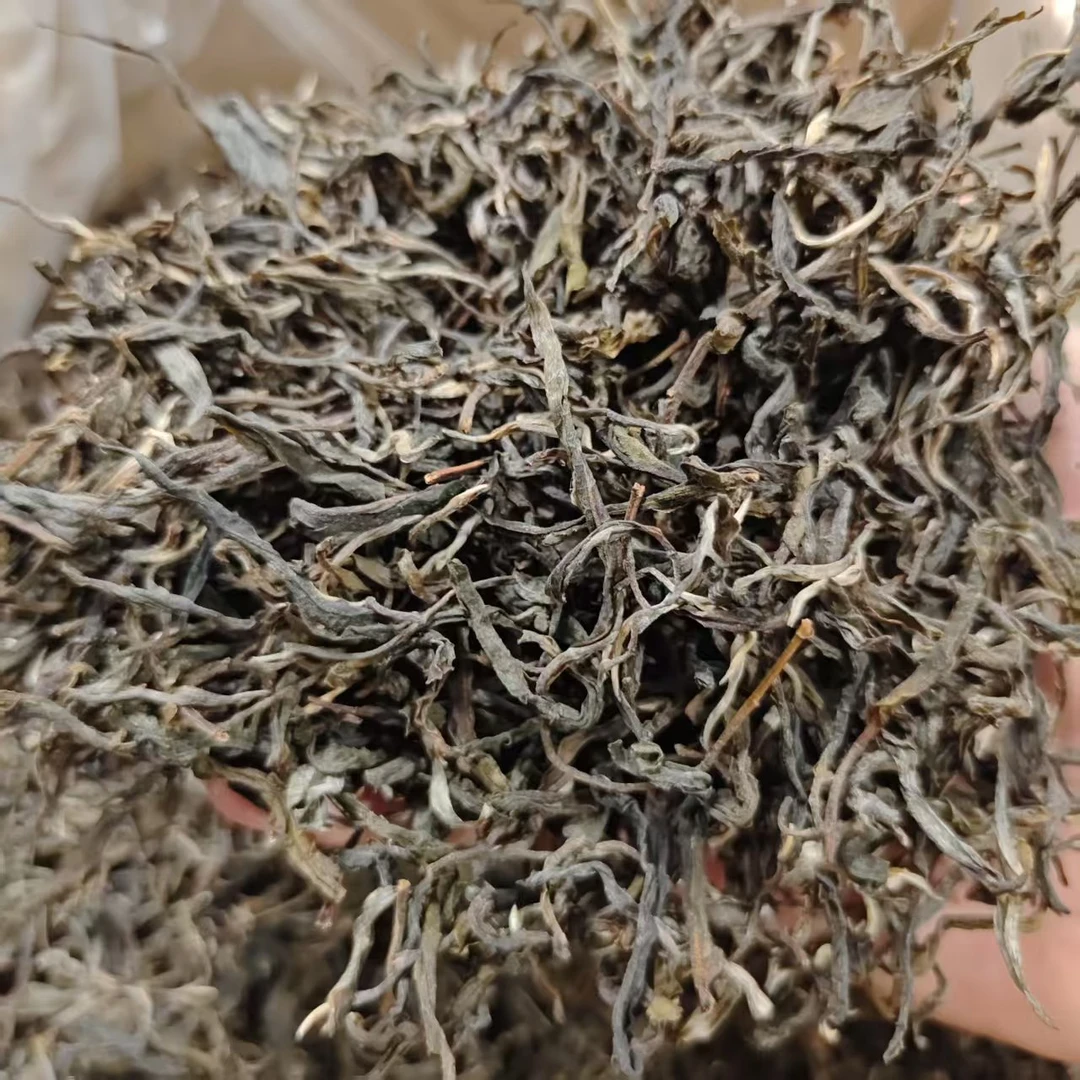 2025年景迈山大坪掌二春古树散茶