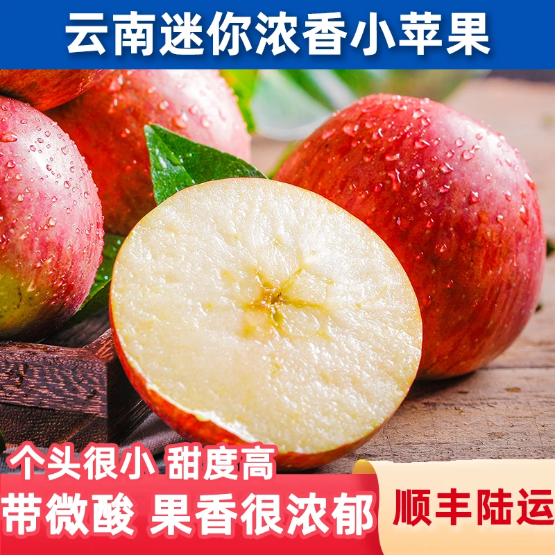 鑫选 云南迷你浓香小苹果5斤 脆甜多汁果香浓郁 新鲜直采顺丰直发