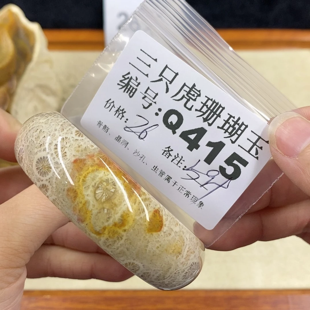 硅化珊瑚（珊瑚玉）1未镶嵌?****?