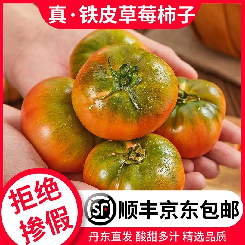 绿肩草莓番茄铁皮柿子西红柿新鲜自然熟盘锦碱地水果丹东番茄包邮