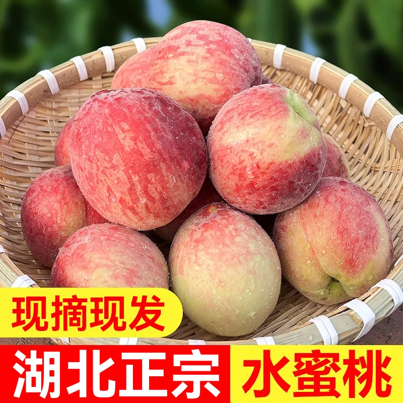 湖北红不软桃子新鲜水果水蜜桃脆桃应季本地鲜桃毛桃整箱产地直发