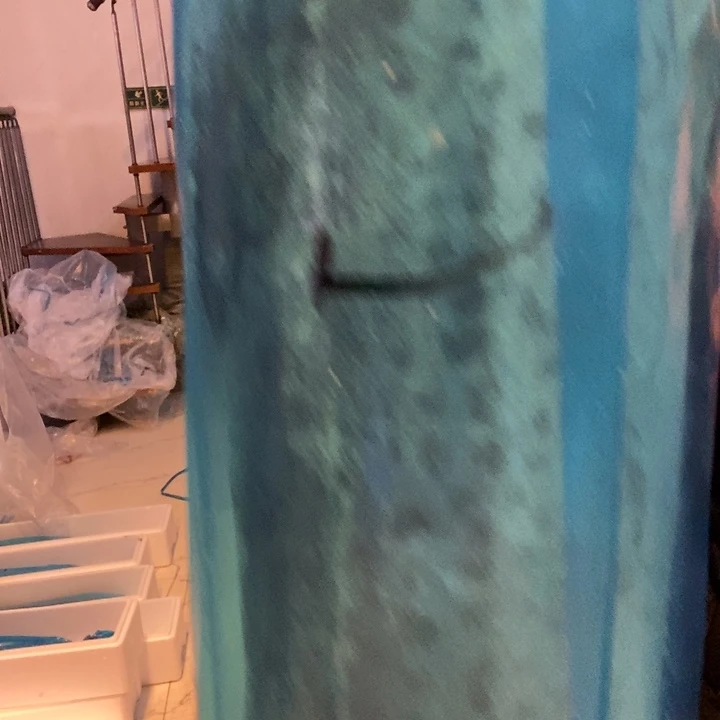 何***钱中国大陆渤海湾野生燕鲅鱼J