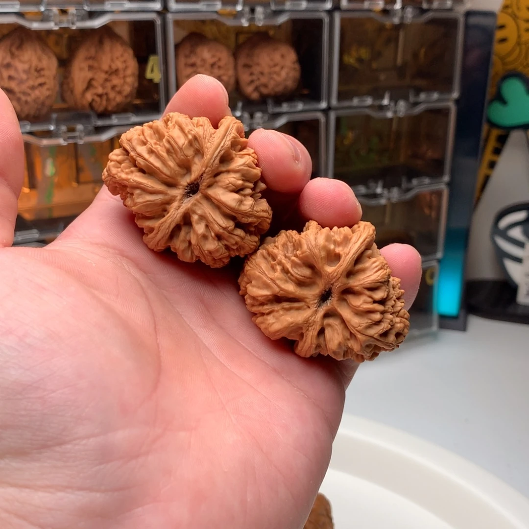 桃核吊坠z****贝大粗筋鹦鹉头