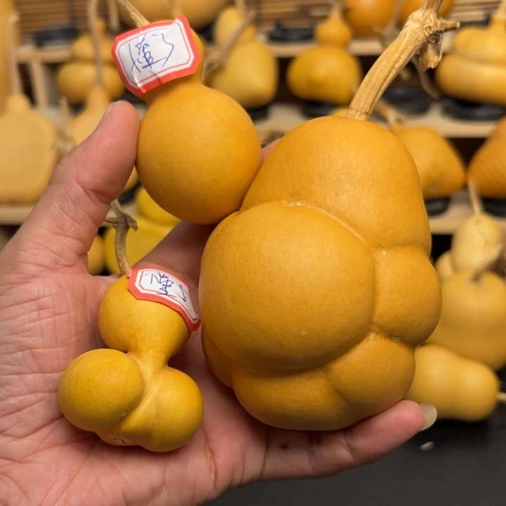 懂**董1555556566999988566