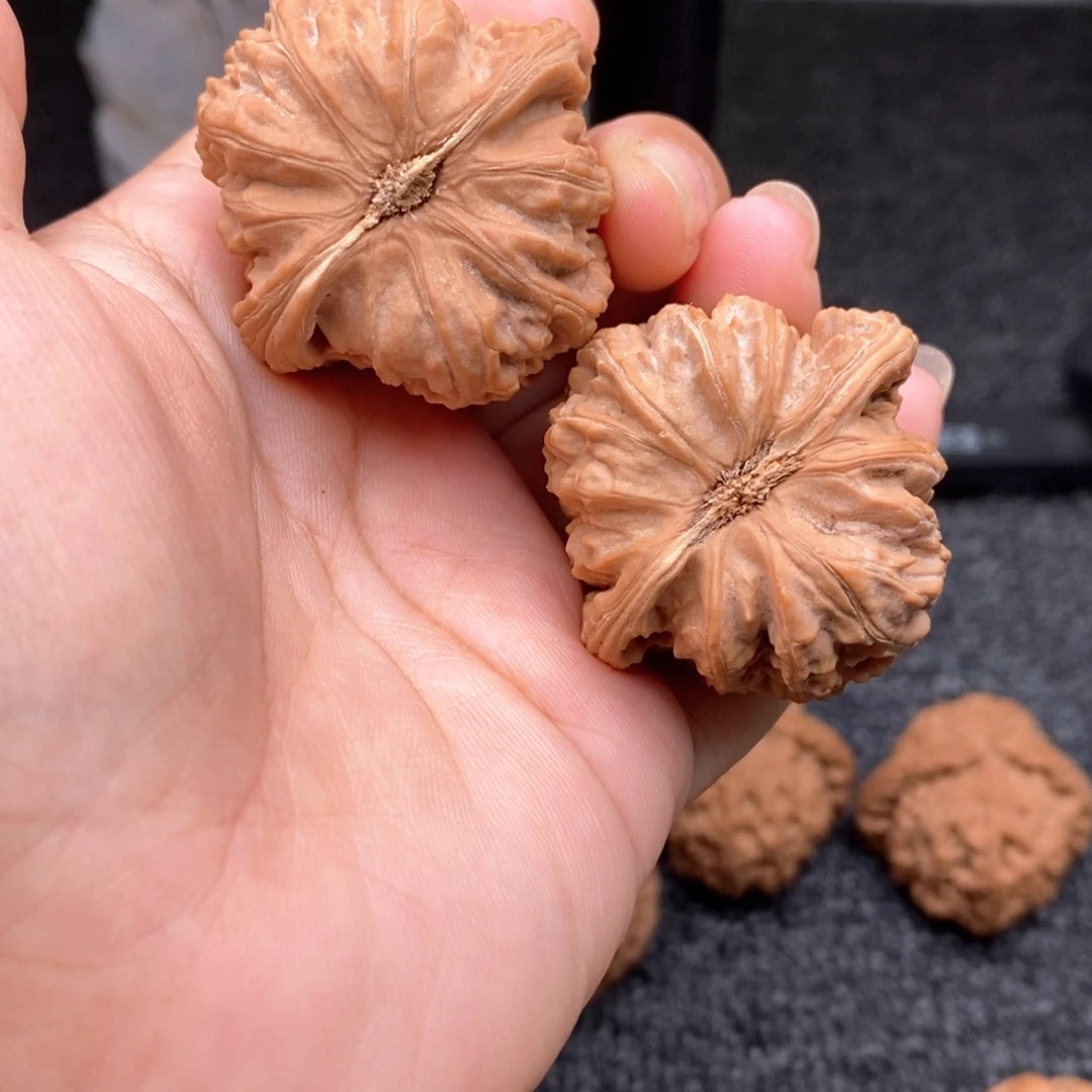 把件文玩核桃38白狮子