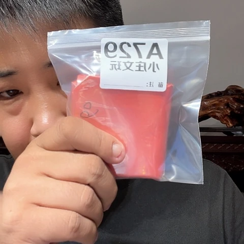 【闪购商品】石英石铁合金菩*树729