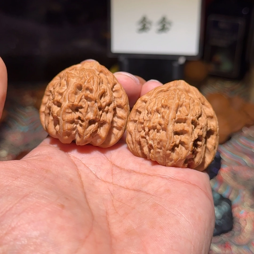 把件文玩核桃1416三角白，尺寸42 42 39