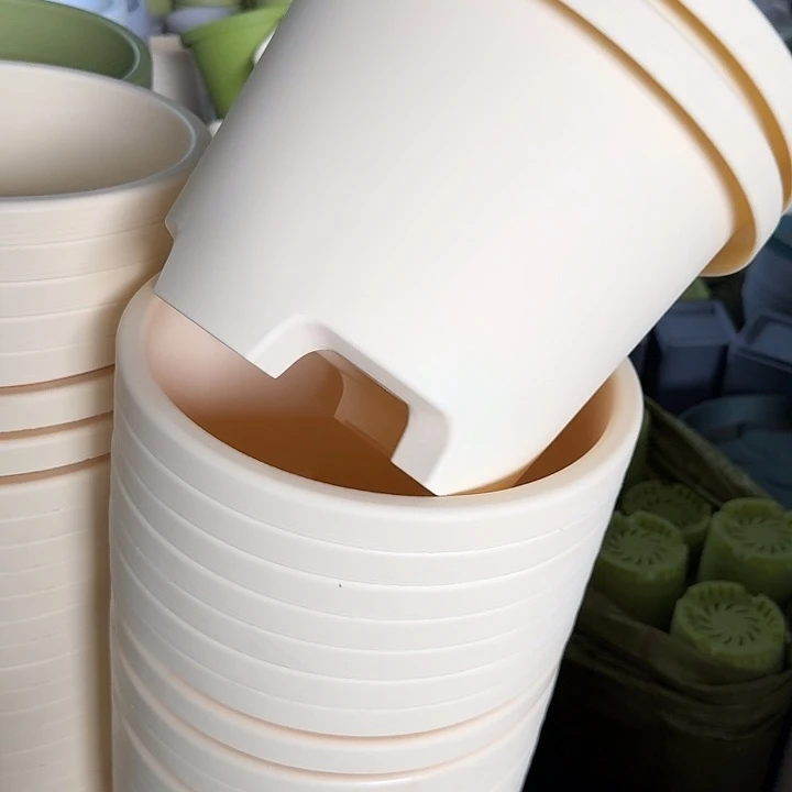 球根32口径5个无托米黄