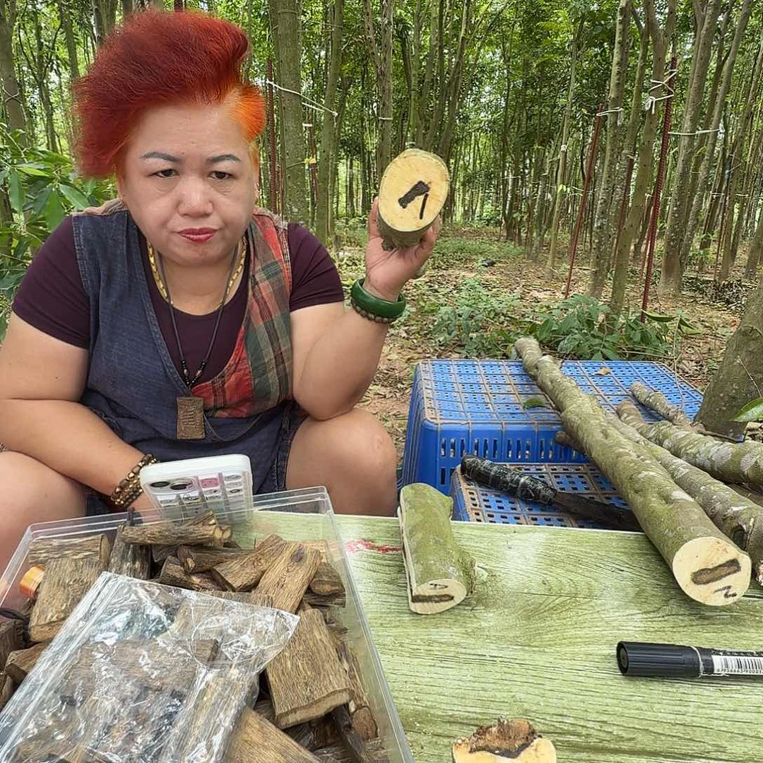 乖***～线香奇楠沉香原木