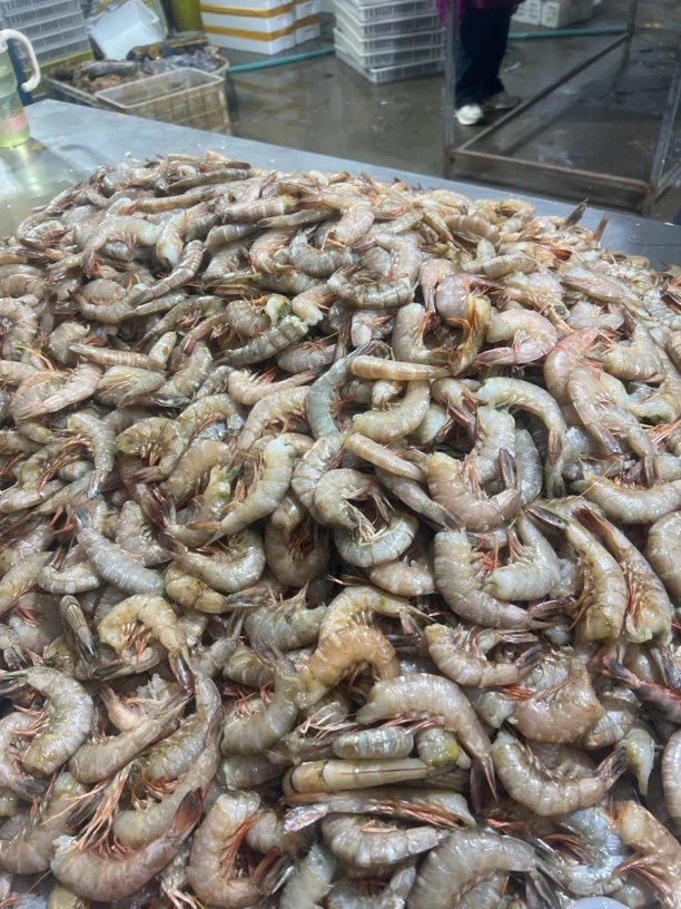 连云港冷冻发货去头对虾6斤