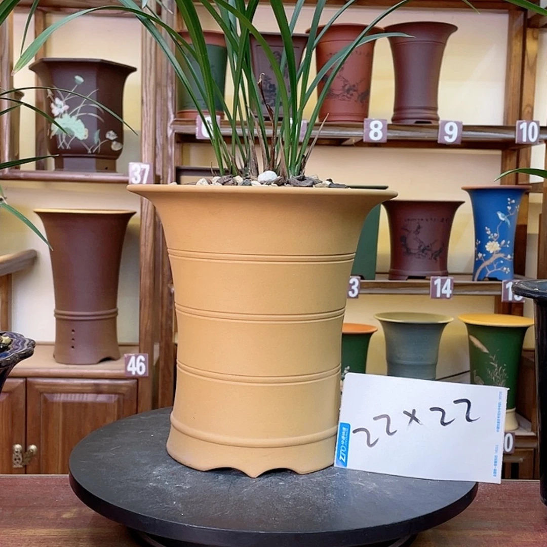 【闪购商品】紫砂花盆兰花755565588553665888