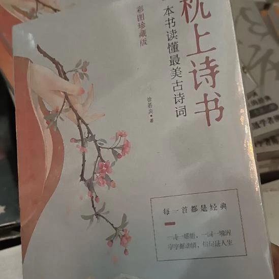 枕上诗书，全新塑封