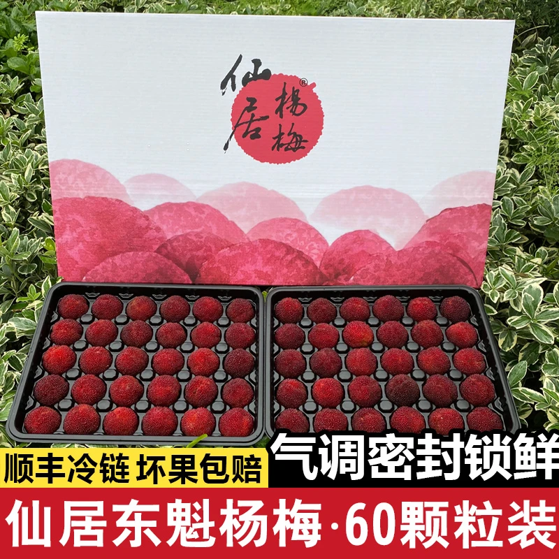 顺丰次日达9A颗粒装18-25g大棚正宗仙居东魁杨梅新鲜水果冷链空运新鲜杨梅浙江省