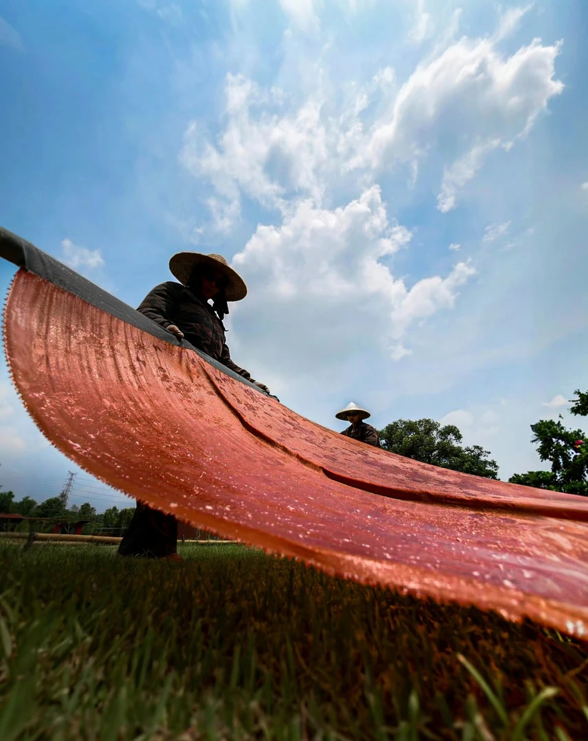 非遗香云纱皮子角萝莨纱高端面料