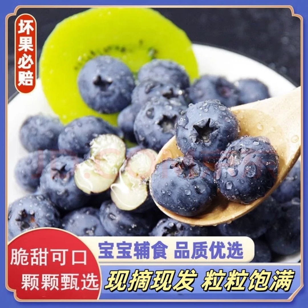 【拼手速 主播福利 蓝莓大果 一斤装】 山东花香蓝莓20mm-18mm F6 产地直发 直采直发 山东省新鲜山东省
