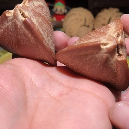 吊坠金刚菩提异型三角橄榄