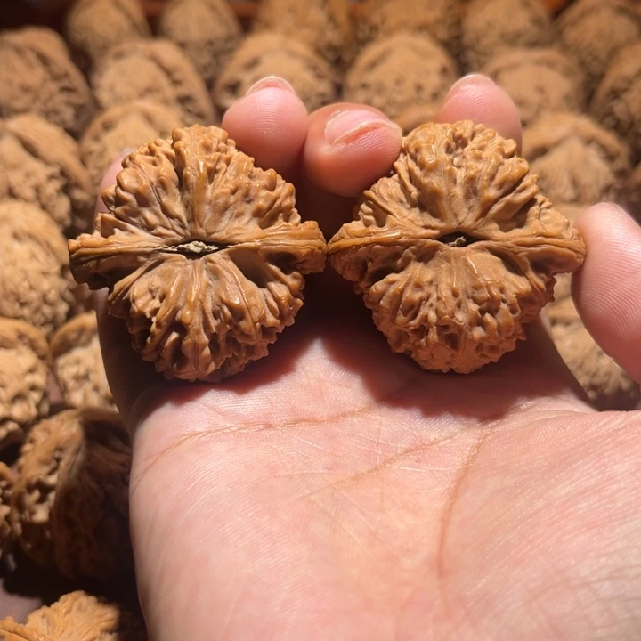 核桃手串/手链三角疆42+尺寸