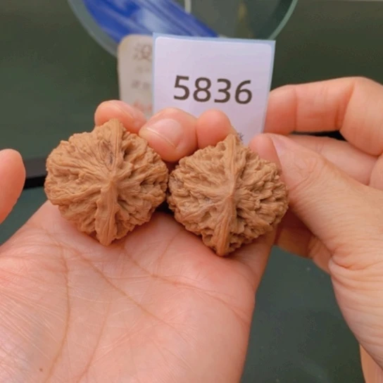 把件文玩核桃37野牛5836