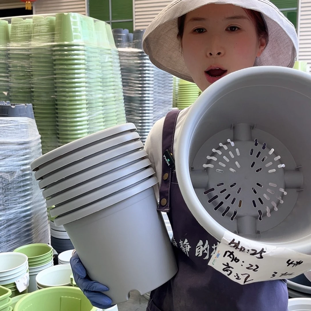 四季4#灰白色8个无托