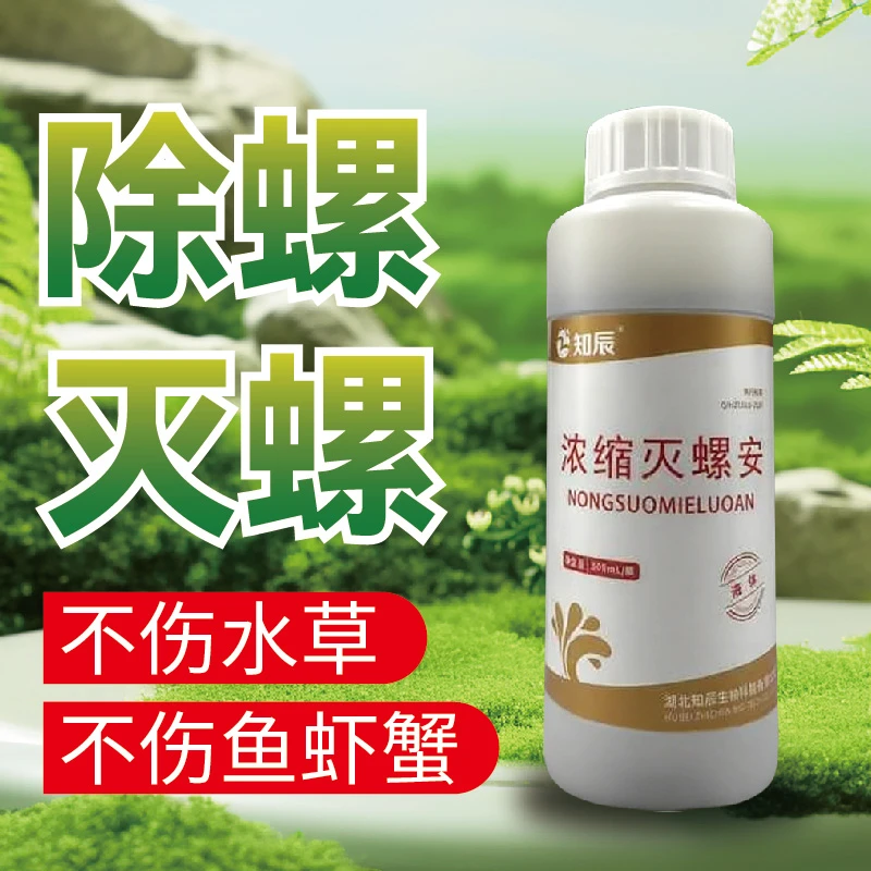 灭螺安杀福寿螺高效安全 不伤水草 不伤鱼虾蟹