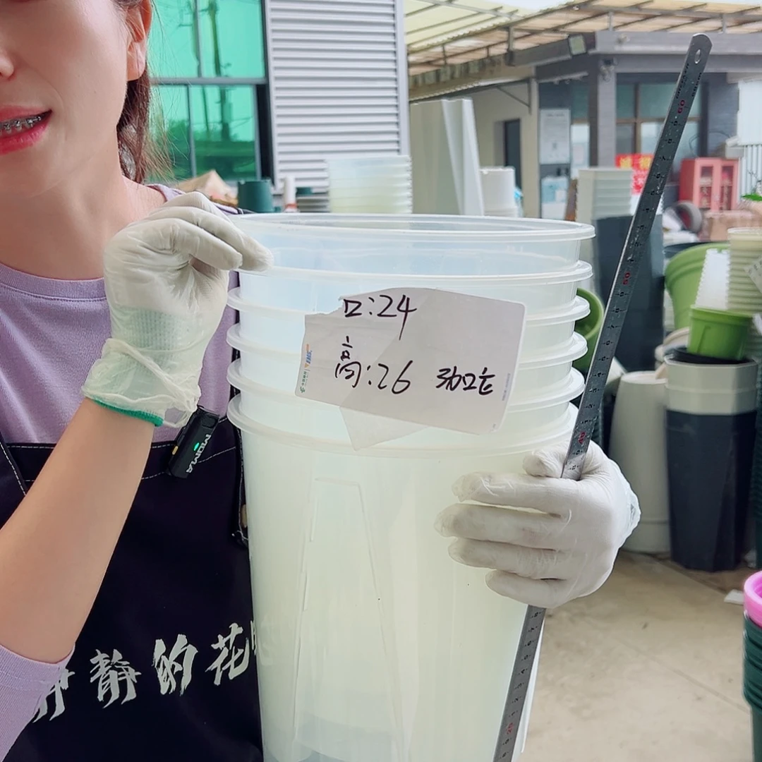 瑕疵空气柱24透明6个无托