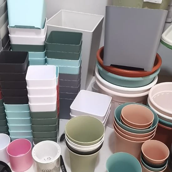 编号是2229带托盘