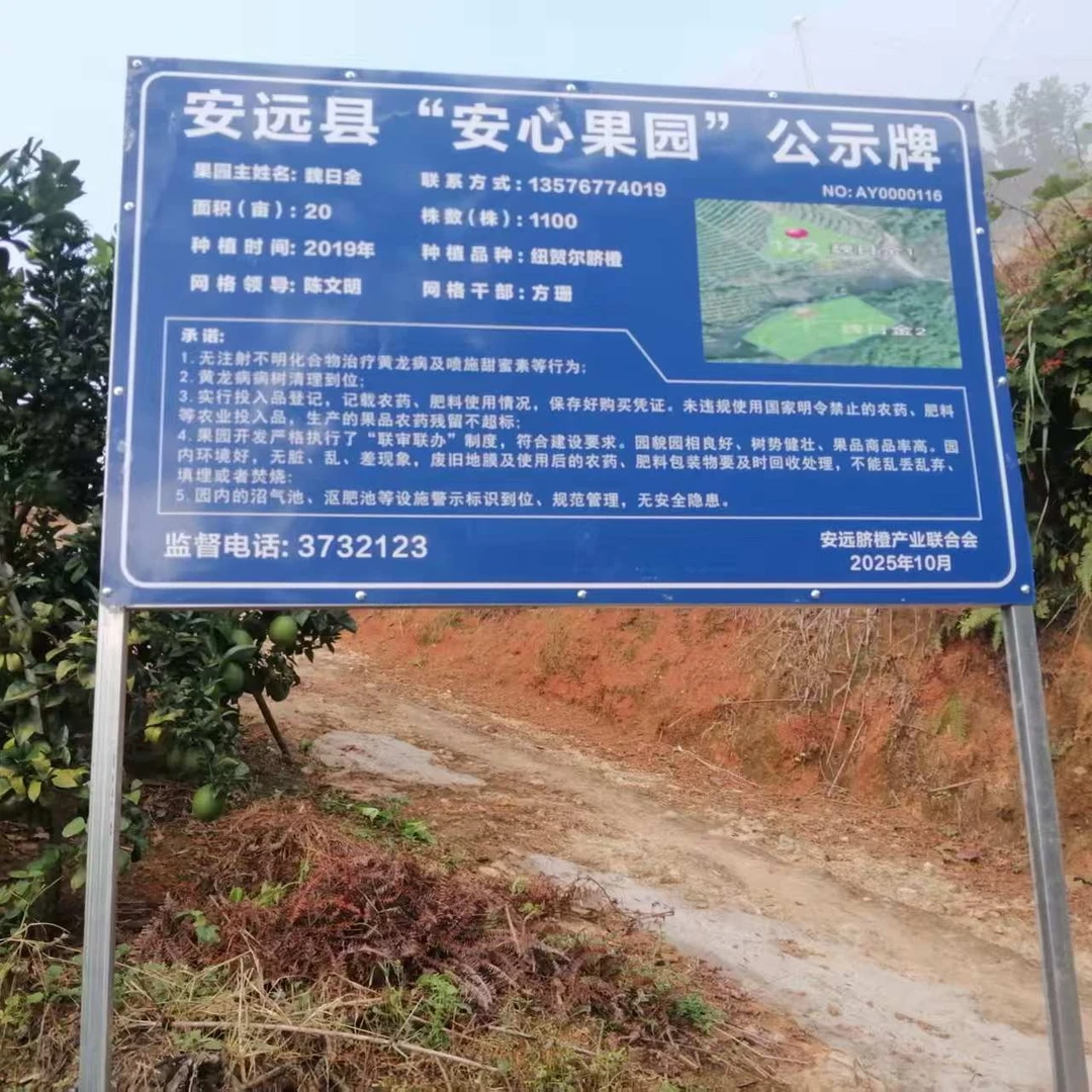 赣南脐橙带箱5斤装