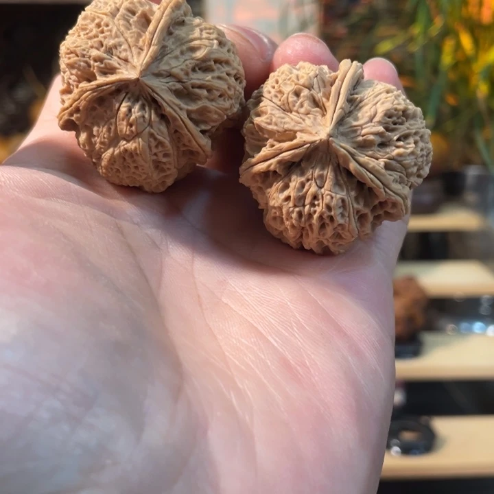 饕****文玩核桃把件编号2356