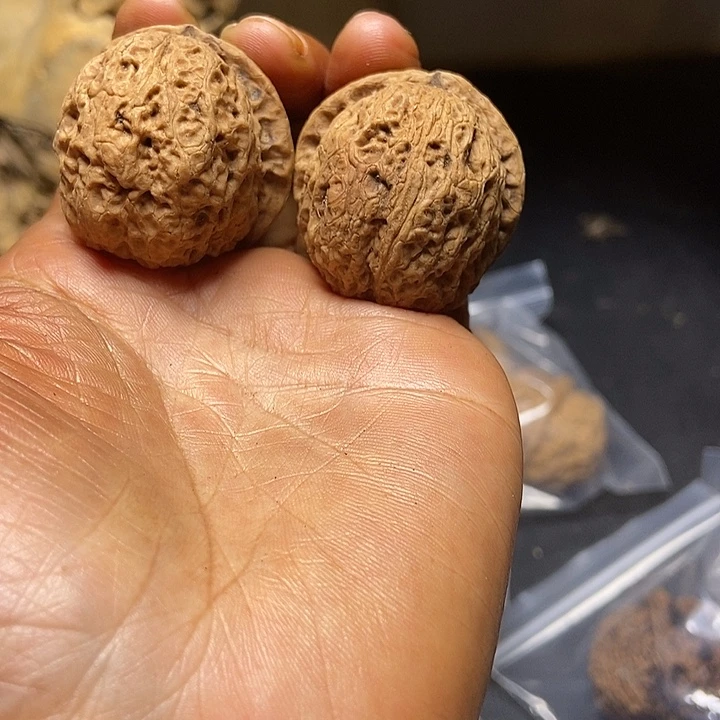 把件文玩核桃云南铁核桃基地95