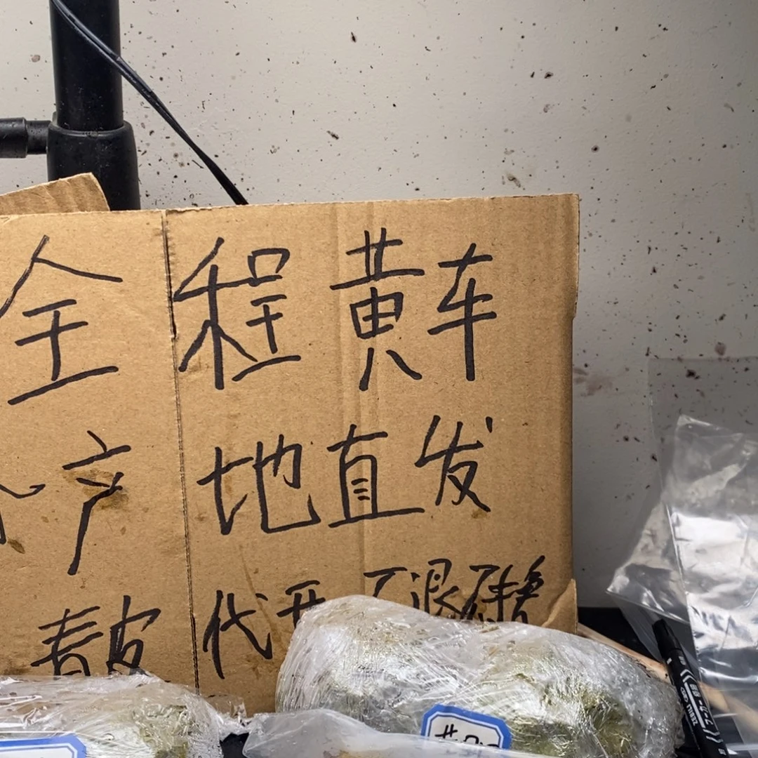 zwf产地直发南瓜23