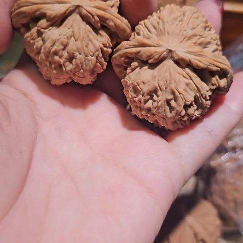 吊坠文玩核桃41.5白狮子