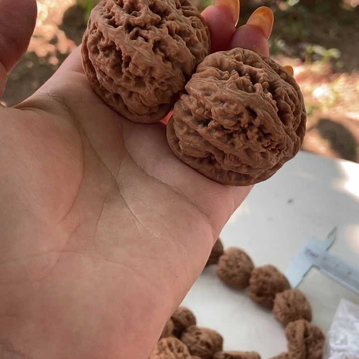 柏香籽/百香籽吊坠暮***野粗筋