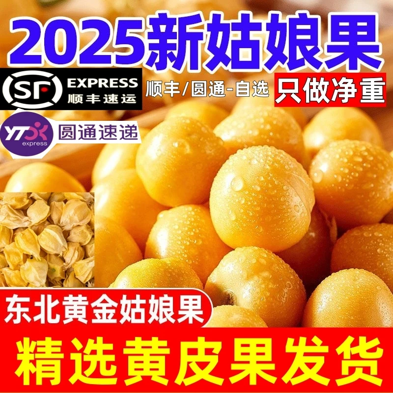 【净重】东北姑娘果新鲜水果姑娘果大果灯笼果应季水果东北姑娘果