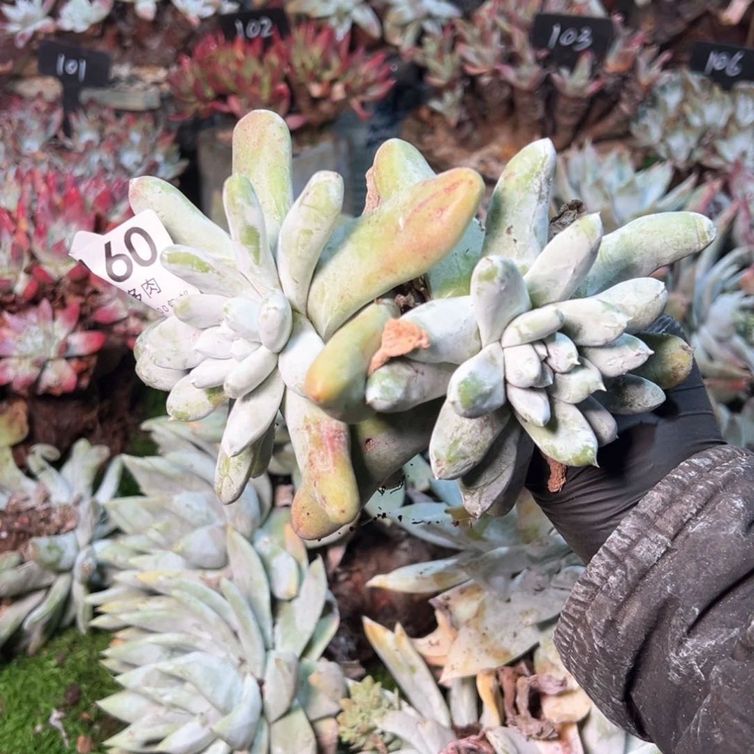 8160哈哈哈哈哈哈哈哈