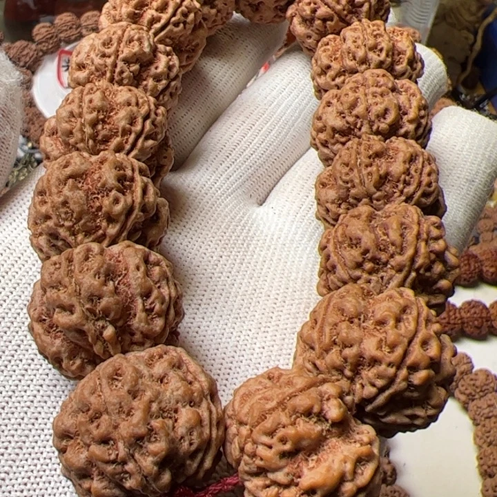 手串金刚菩提24梁梅花