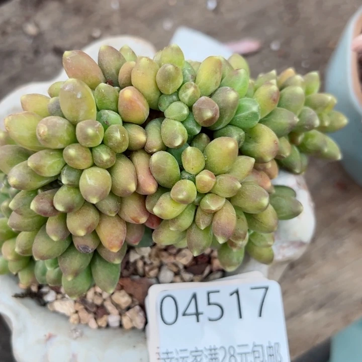幸运的是我的朋友