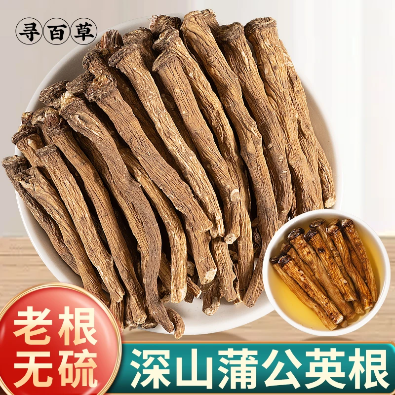 蒲公英根泡茶正品优选野生腺女性整根蒲公英干货