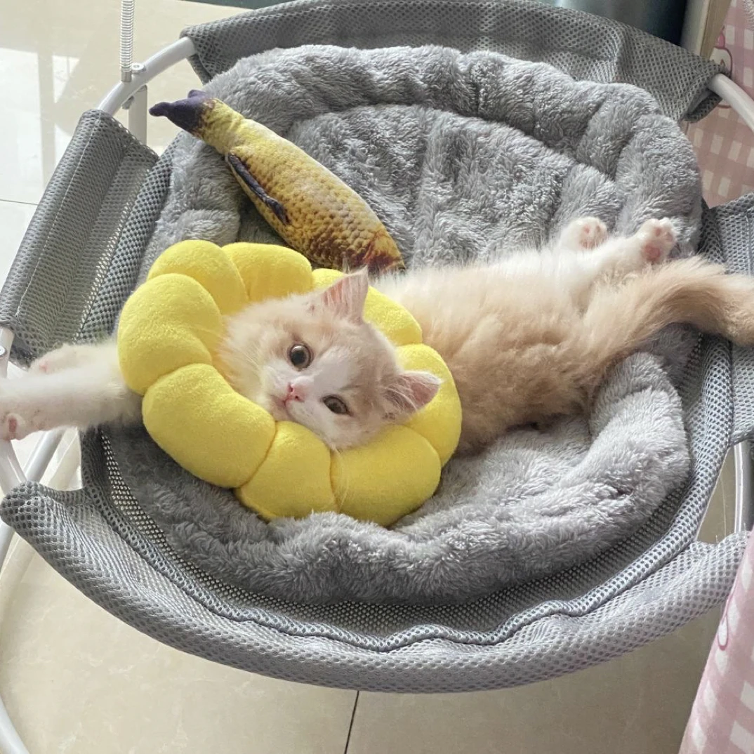 2025夏款女童款编码下单