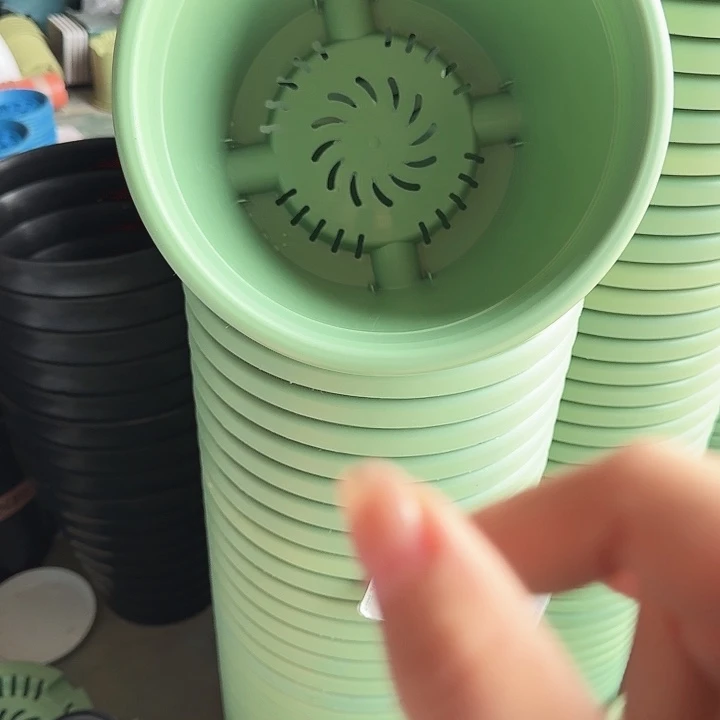 四季4号新绿色无托9个特价微瑕