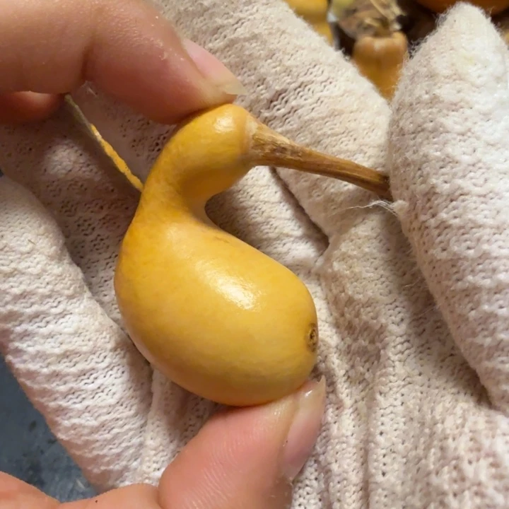 W***s66……………………………………