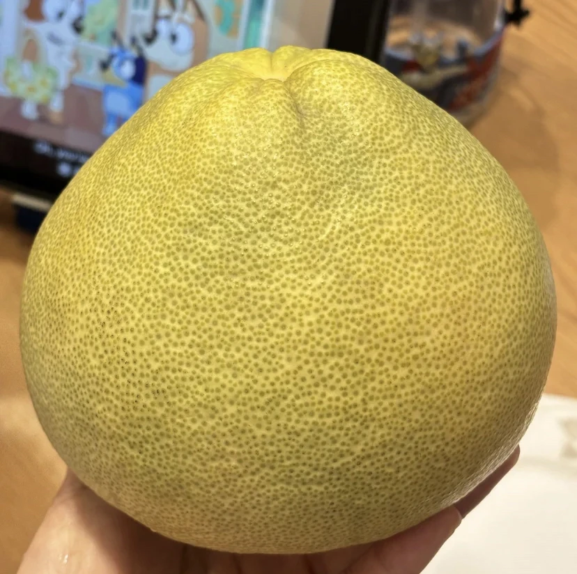 文旦柚仙游度尾5斤装当季时令新鲜水果