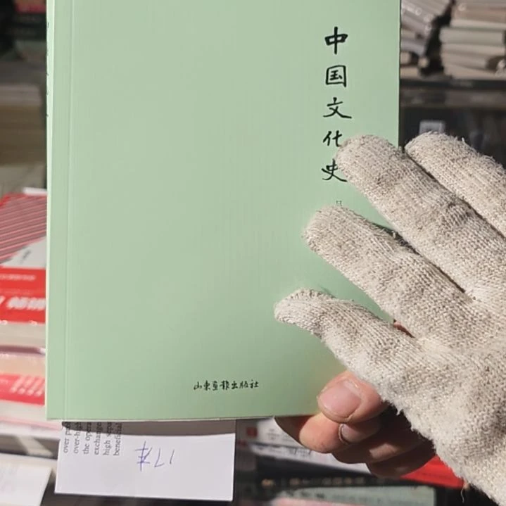 中国文化史没塑封介意勿拍